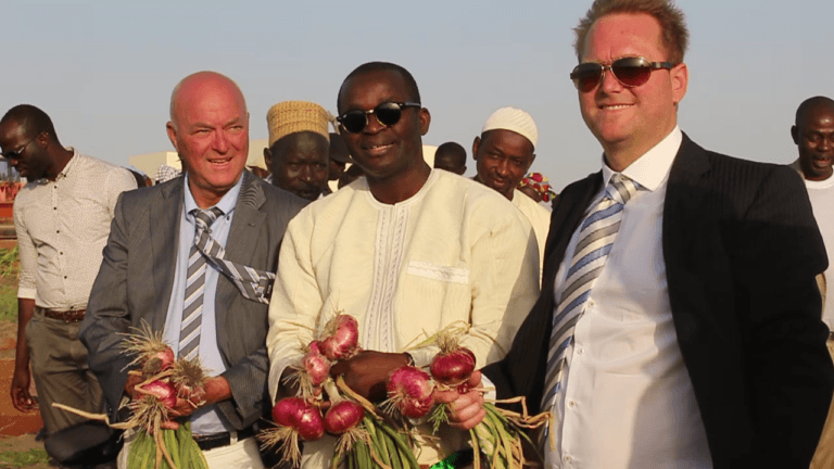 Production d’oignon : Notto Diobass se positionne dans le marché avec Beemster Boer de la Hollande