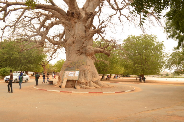 Le lycée Malick Sy de Thiès 50 ans après, regardez ces images