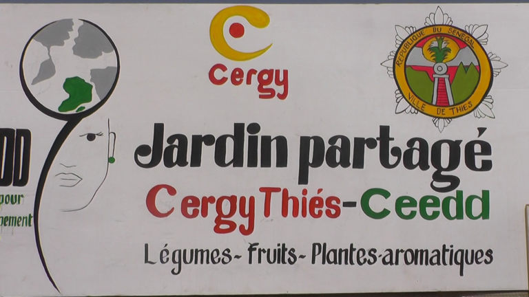 Lancement des activités du jardin partagé de la maison Thiès-Cergy, La coopération Thiès-Cergy franchi un nouveau pas