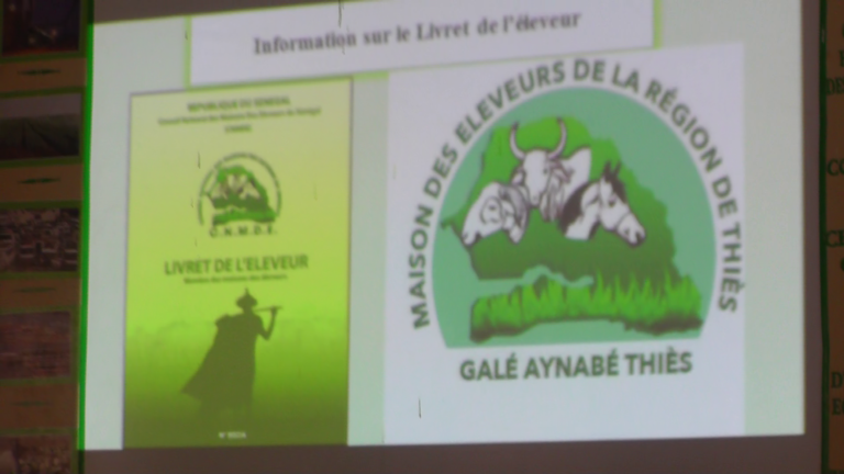 Assemblée générale régionale des galés aynabés, les éleveurs de Thiès étalent leurs difficultés