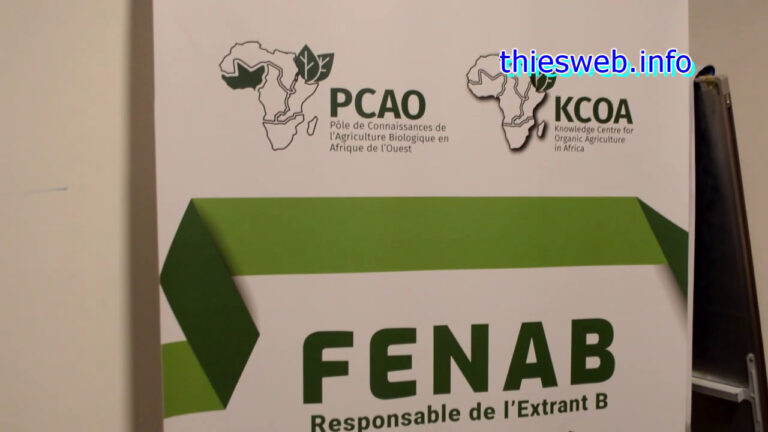 Confection d’un manuel de savoirs traditions africains, L’agriculture écologique biologique franchit un pas essentiel vers sa formalisation