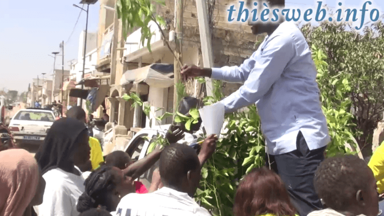 Campagne de reboisement, Le mouvement ETIR poursuit ses actions citoyennes et appelle à un accueil royal du président Macky Sall à Thiès